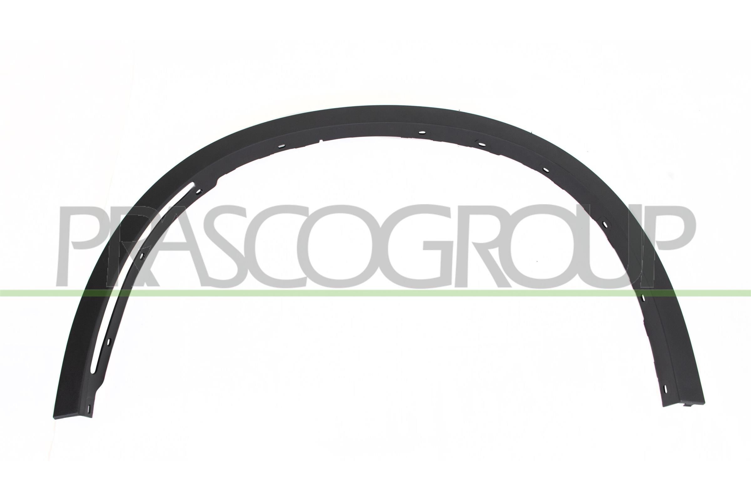 PRASCO Trim / Protective Strip, mudguard Article number: BM8261582 cheaply