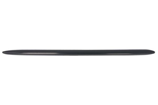 BLIC Bumper moulding Article number: 6502-07-3522916P cheaply