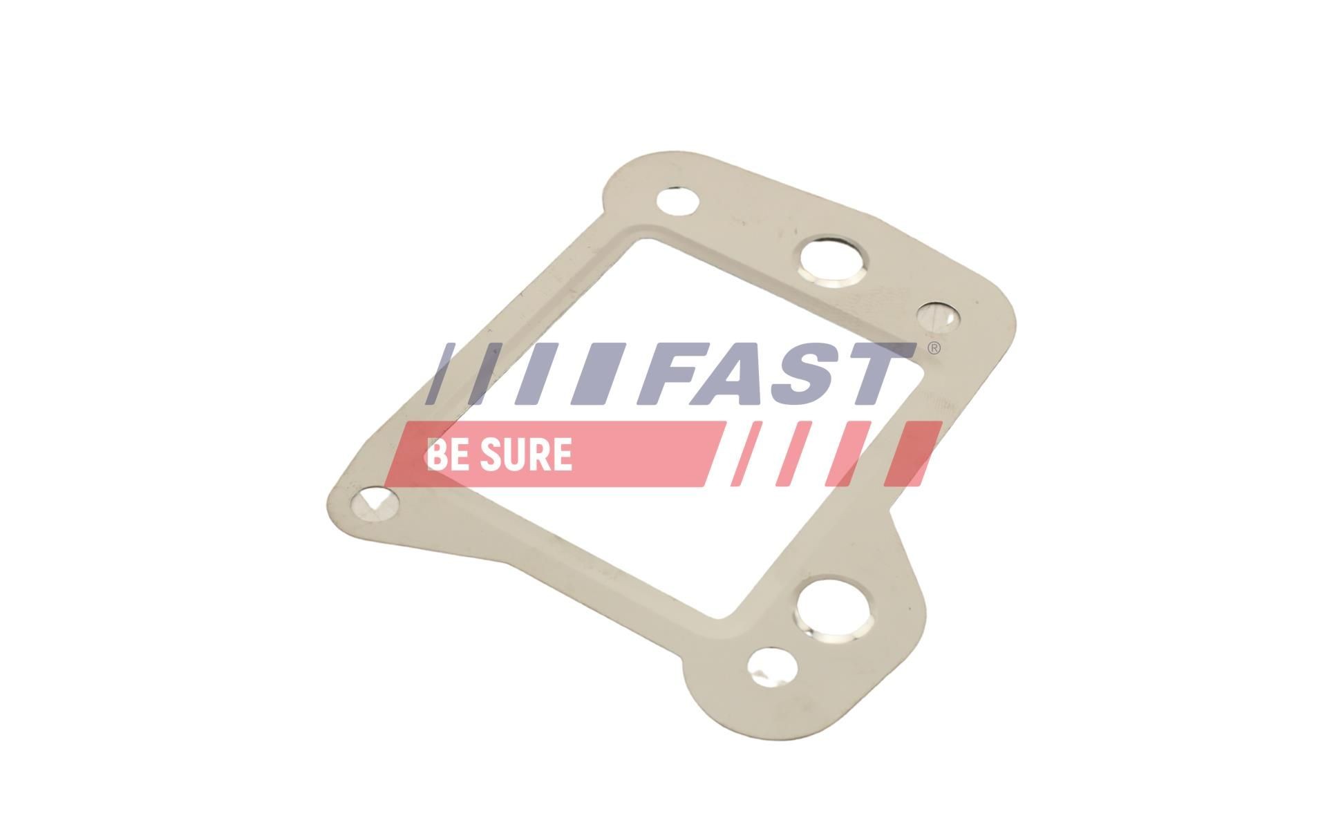 FAST Gasket Set, EGR system Article number: FT50621 cheaply