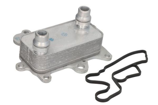 THERMOTEC Engine oil cooler Article number: D4F009TT cheaply