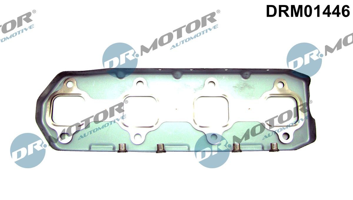 DR.MOTOR AUTOMOTIVE Exhaust manifold gasket Article number: DRM01446 cheaply