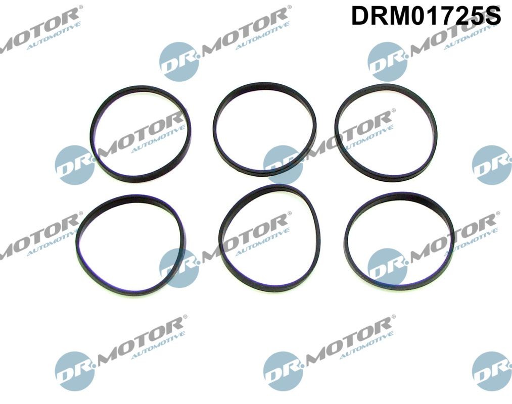DR.MOTOR AUTOMOTIVE Pakningssæt, indsugningsmanifold Varenummer: DRM01725S billige