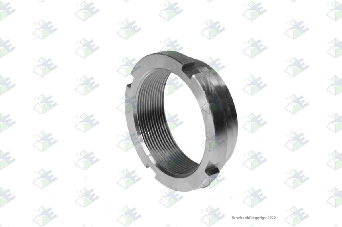 Euroricambi Groove Nut Article number: 30170448 cheaply