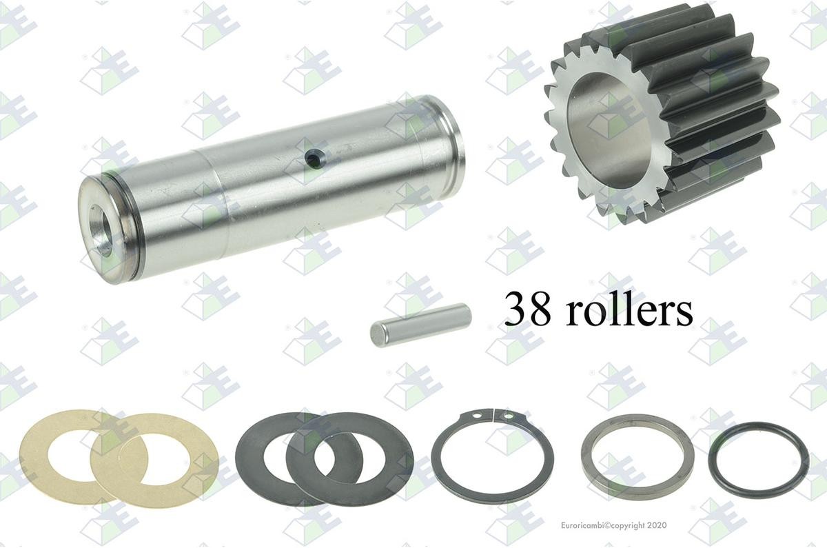 Euroricambi Repair Kit, differential Article number: 88170189 cheaply