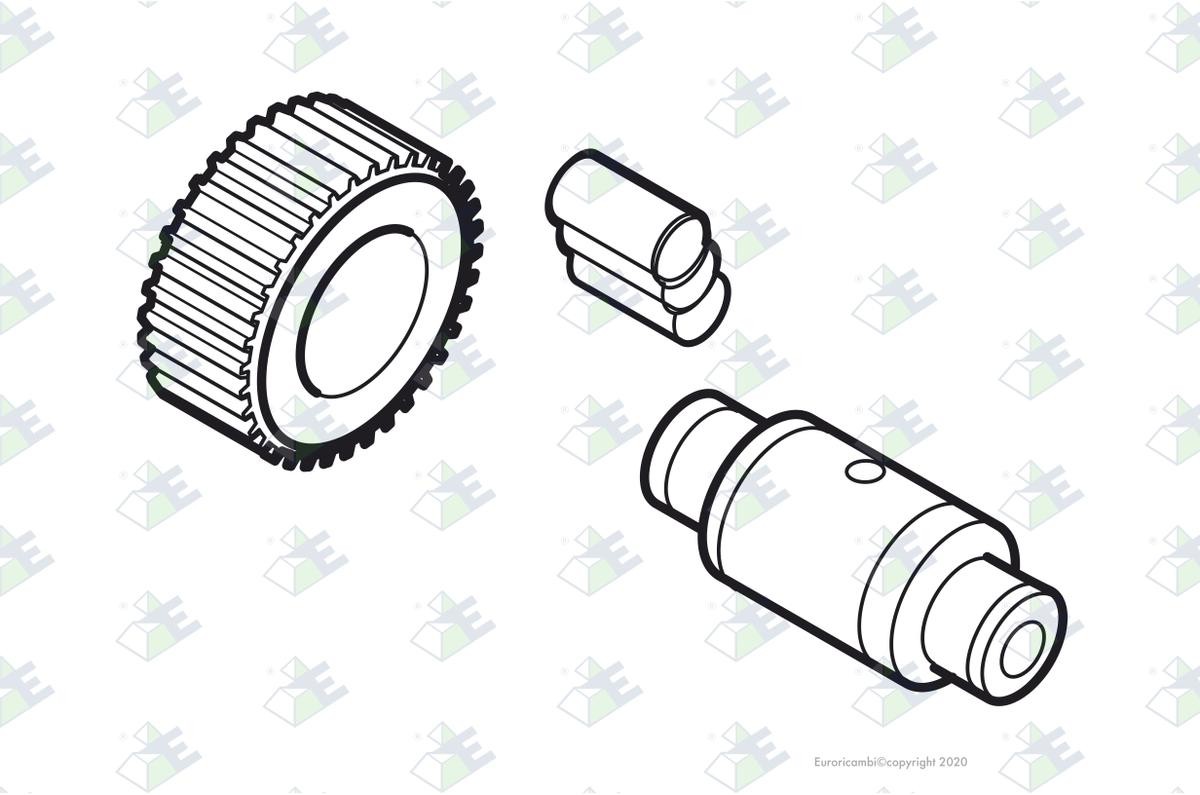 Euroricambi Repair Kit, differential Article number: 56170075 cheaply