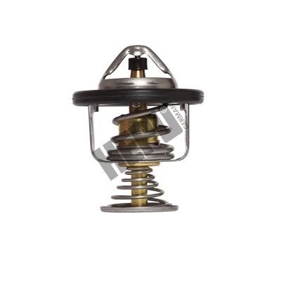 HEPU Thermostat Article number: TM1287 cheaply