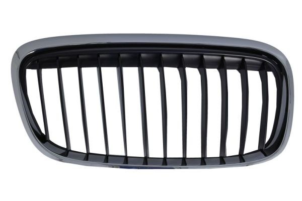 BLIC Grila radiator număr articol: 6502-07-0071996SP ieftin