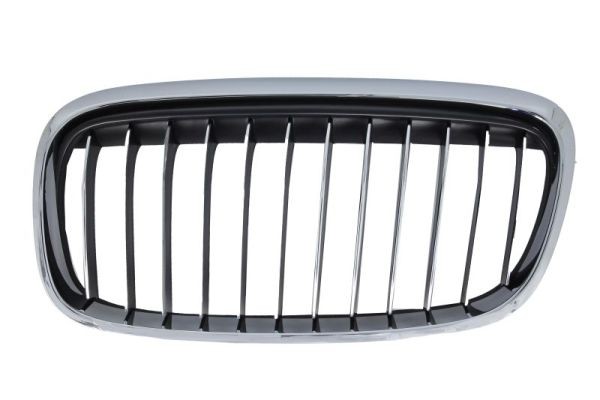 BLIC Grila radiator număr articol: 6502-07-0071997LP ieftin