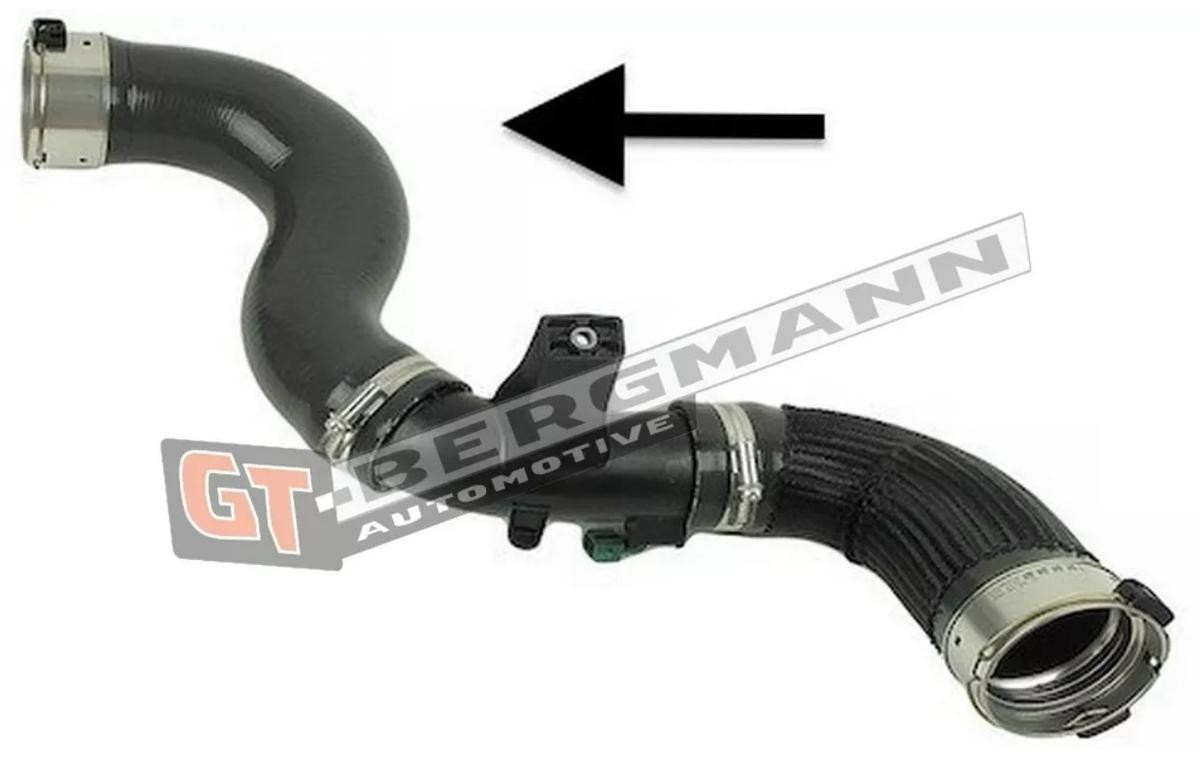 GT-BERGMANN Charger intake hose Article number: GT52-421 cheaply