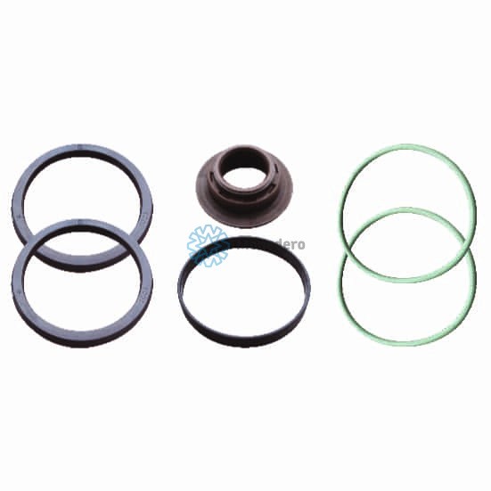 MONEDERO Repair Kit, shift cylinder Article number: 50022200003 cheaply