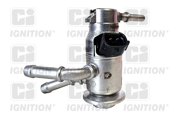 QUINTON HAZELL XPSI181 Injector, urea injection SCÉNIC 1.7 Blue dCi 120 (J9A7, J9A8) 120 PS Diesel 2022