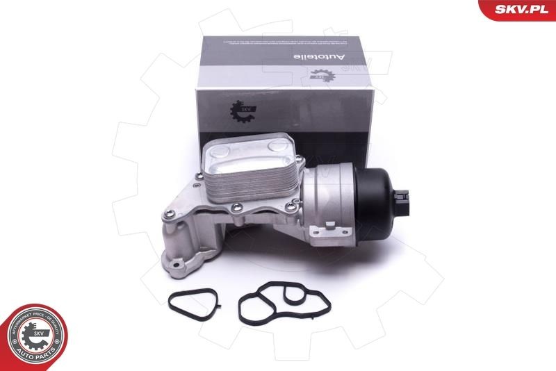 ESEN SKV 31SKV233 Oil filter housing DS4 1.6 THP 150 150 PS Petrol 2018