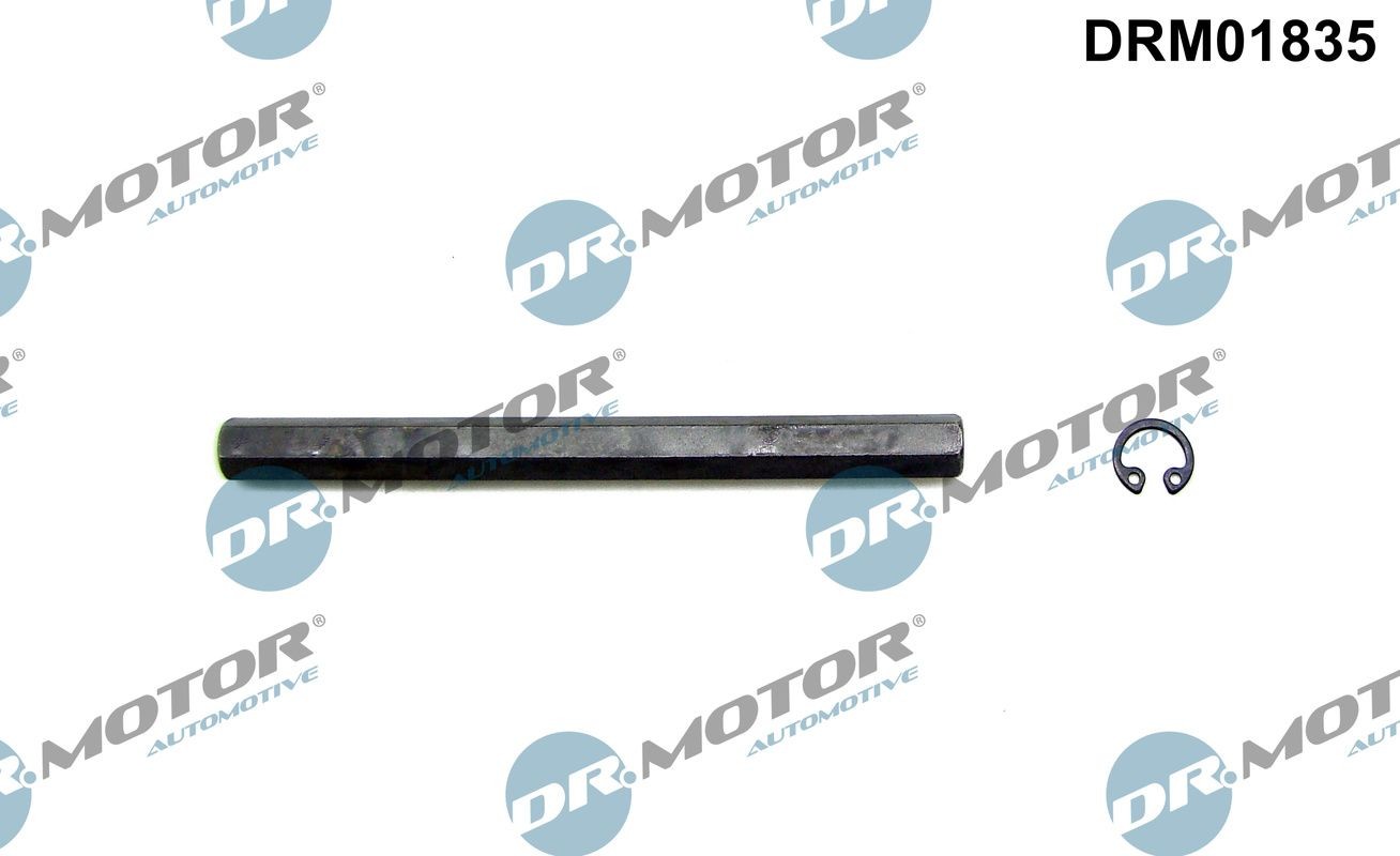 DR.MOTOR AUTOMOTIVE Drivaksel, oliepumpe Varenummer: DRM01835 billige