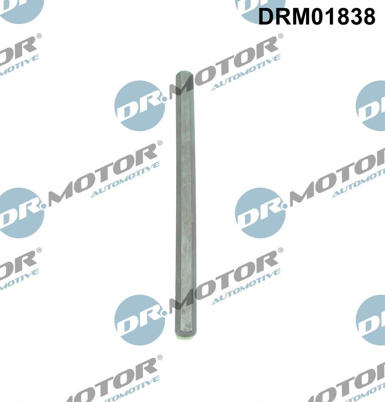 DR.MOTOR AUTOMOTIVE Drivaksel, oliepumpe Varenummer: DRM01838 billige
