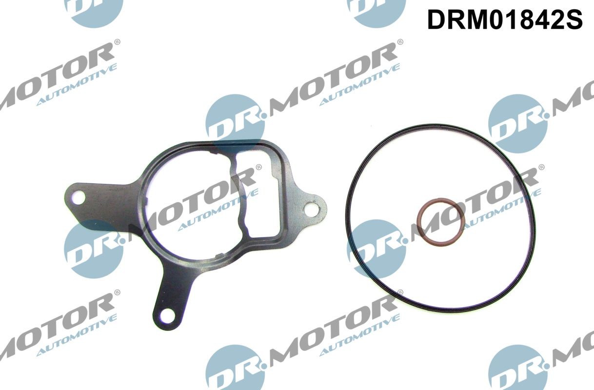 DR.MOTOR AUTOMOTIVE Seal Set, vacuum pump Article number: DRM01842S cheaply