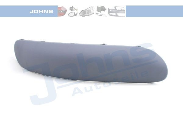 JOHNS 23 07 07-34 Bumper moulding C3 1.6 Bioflex 113 PS Petrol/Ethanol 2013