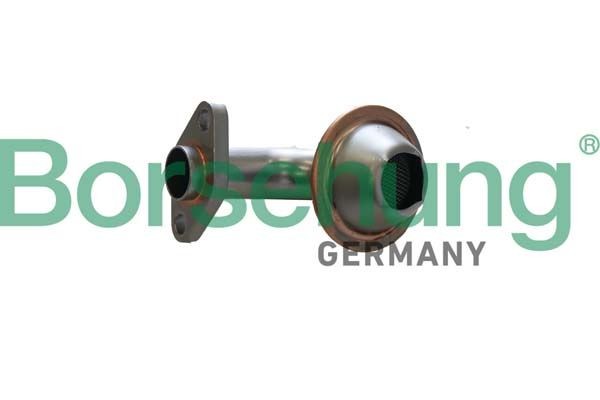 Borsehung B12308 Strainer, oil pump suction pipe PASSAT 1.9 TDI 101 PS Diesel 2001