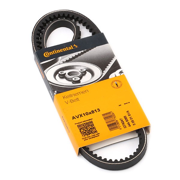 CONTITECH V-Belt Article number: AVX10X813 cheaply