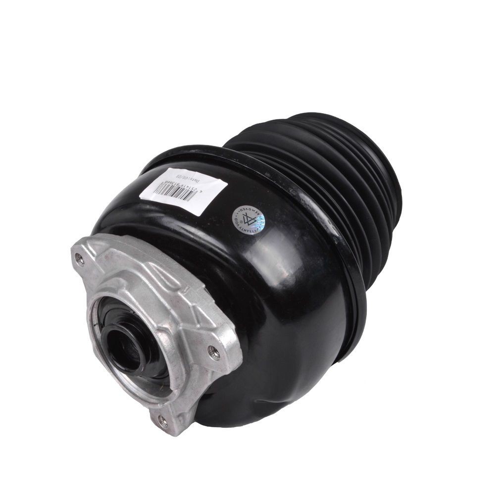 OEM Luftfjeder 11013-01-3138 fra MiesslerAutomotive