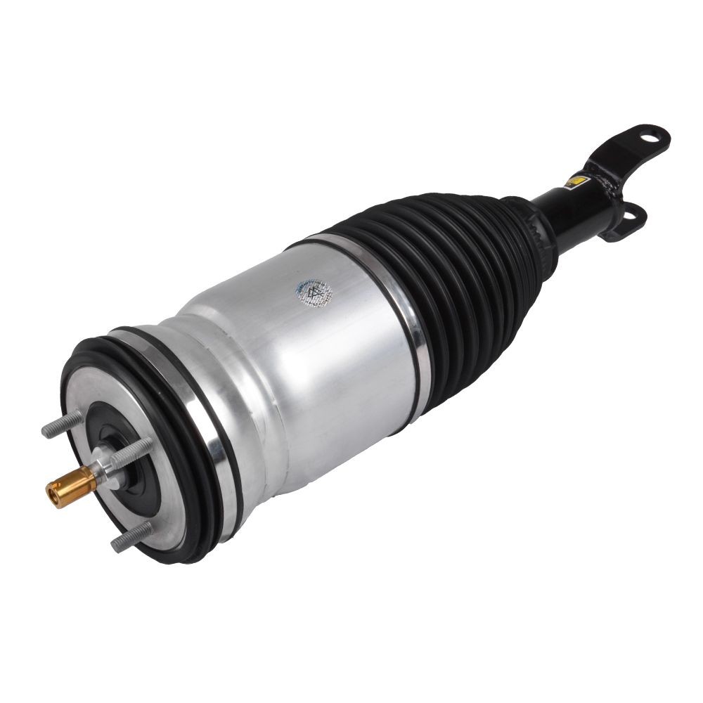 MiesslerAutomotive Air suspension strut Article number: 1121-01-47AH cheaply