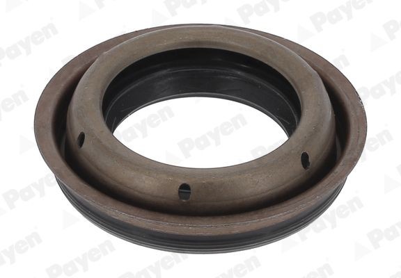 PAYEN Shaft Seal, differential Article number: NA5508 cheaply