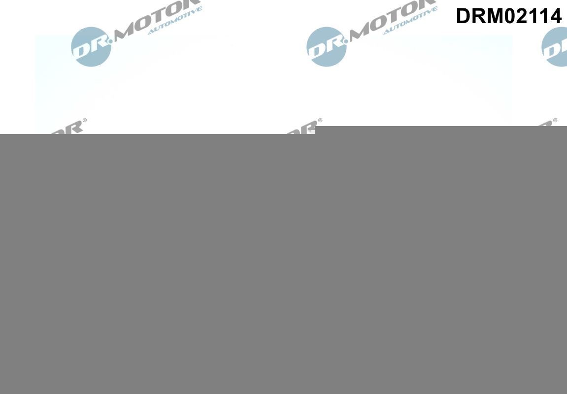 DR.MOTOR AUTOMOTIVE Уплътнение, изпускателен колектор артикулен номер: DRM02114 евтино