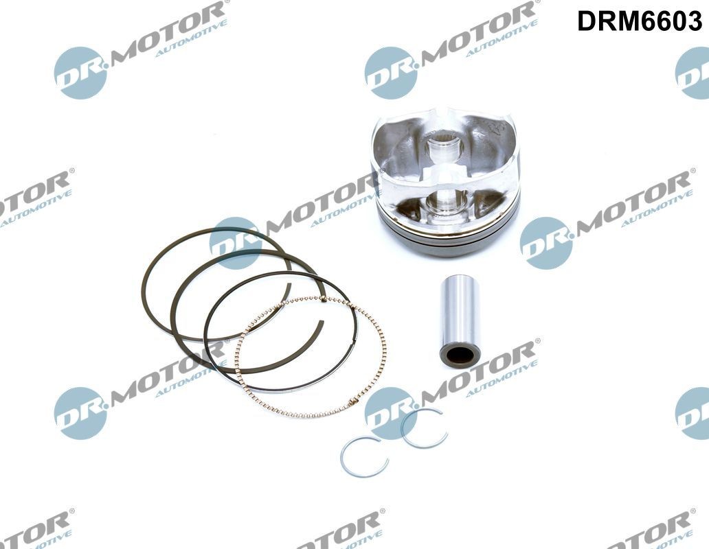 DR.MOTOR AUTOMOTIVE Kolvid Artikli number: DRM6603 soodsalt