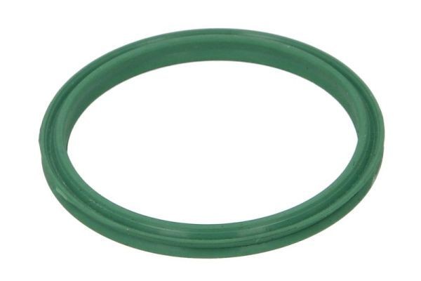 THERMOTEC Anello tenuta, Flessibile aria alimentazione Numero articolo: DCR272TT poco costoso
