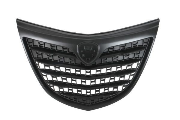 BLIC Radiator Grille Article number: 6502-07-3332991P cheaply
