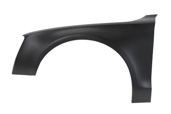 BLIC Wing fender Article number: 6504-04-0051311P cheaply