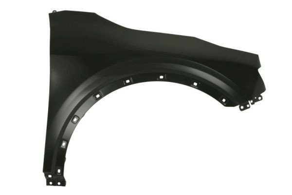 BLIC Wing fender Article number: 6504-04-3297312P cheaply