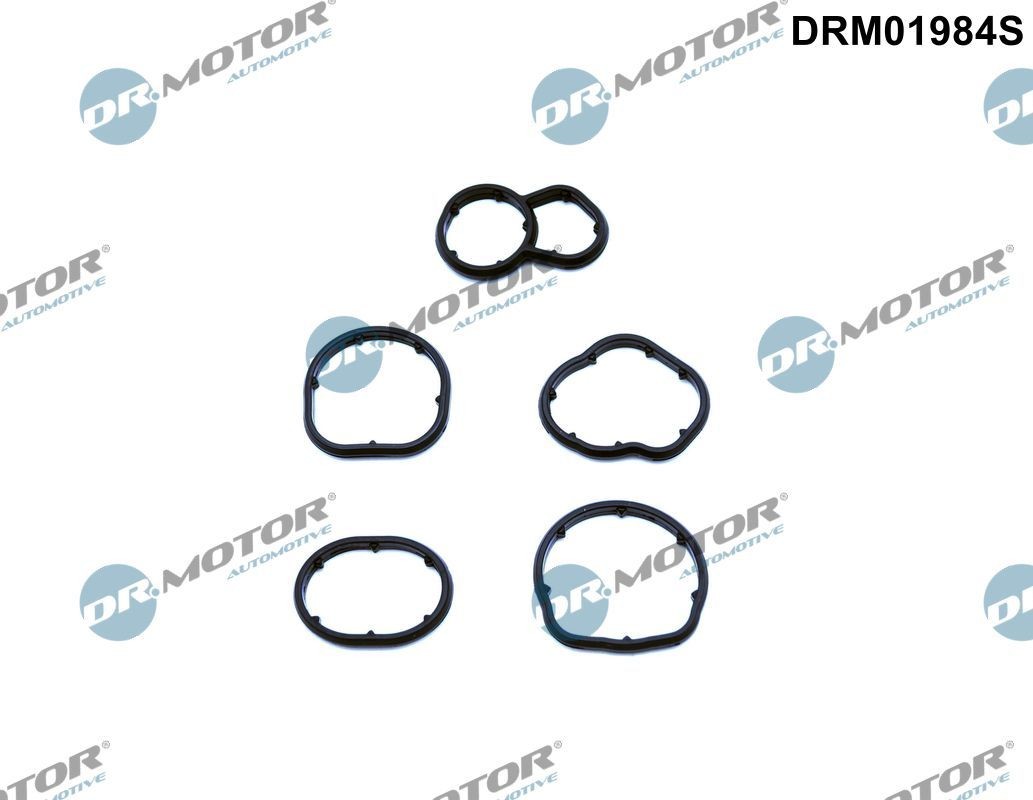DR.MOTOR AUTOMOTIVE Seal, oil filter housing Article number: DRM01984S cheaply