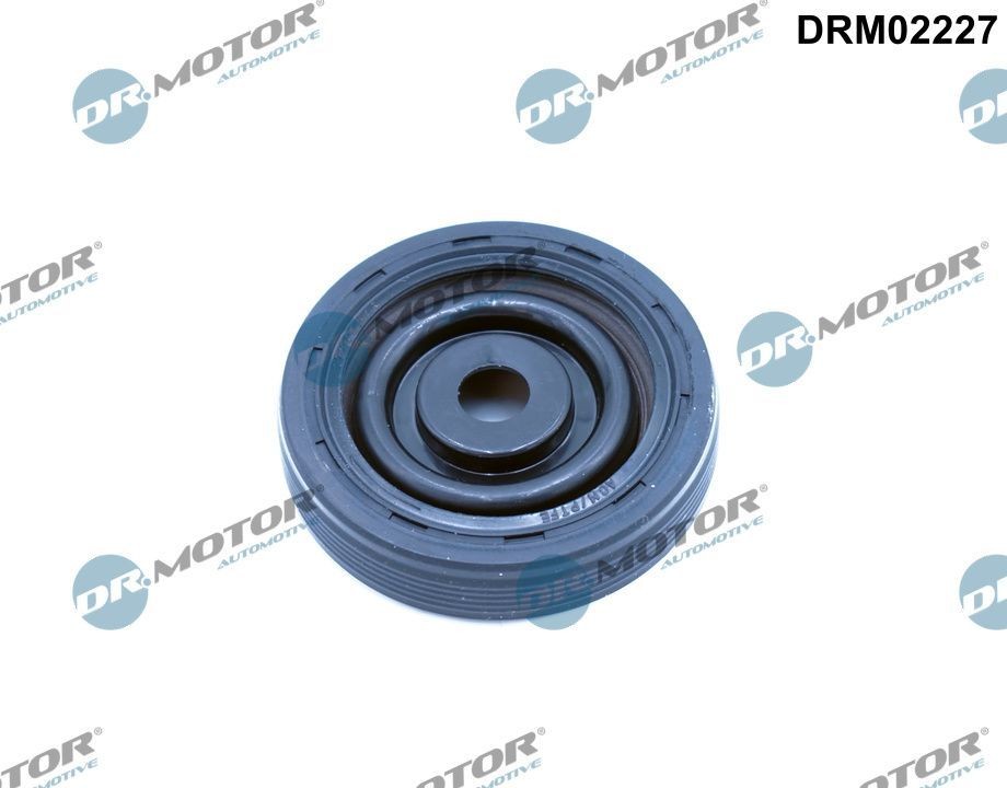 DR.MOTOR AUTOMOTIVE Crankshaft seal Article number: DRM02227 cheaply