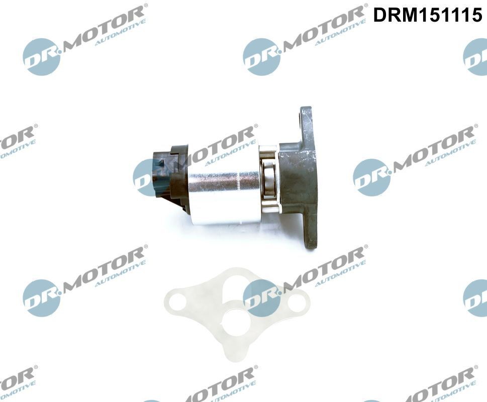 DR.MOTOR AUTOMOTIVE ERG vožtuvas prekės numeris: DRM151115 nebrangu