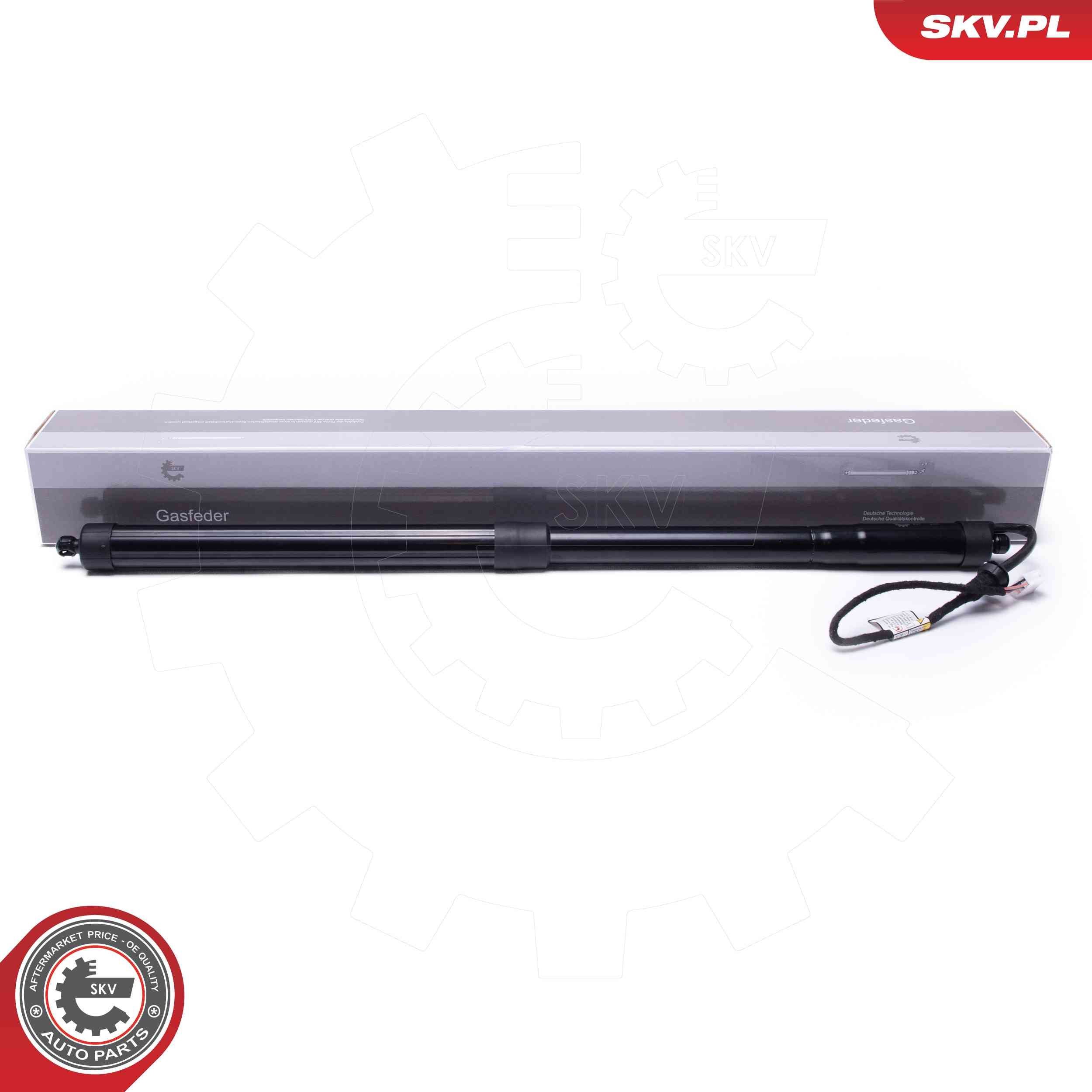 ESEN SKV 52SKV960 Electrical motor, tailgate RX 350 4WD (GGL25_) 305 PS Petrol