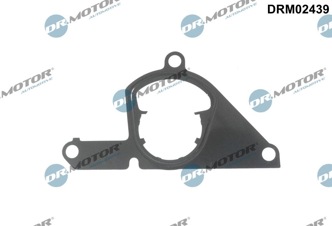 DR.MOTOR AUTOMOTIVE Gasket, vacuum pump Article number: DRM02439 cheaply