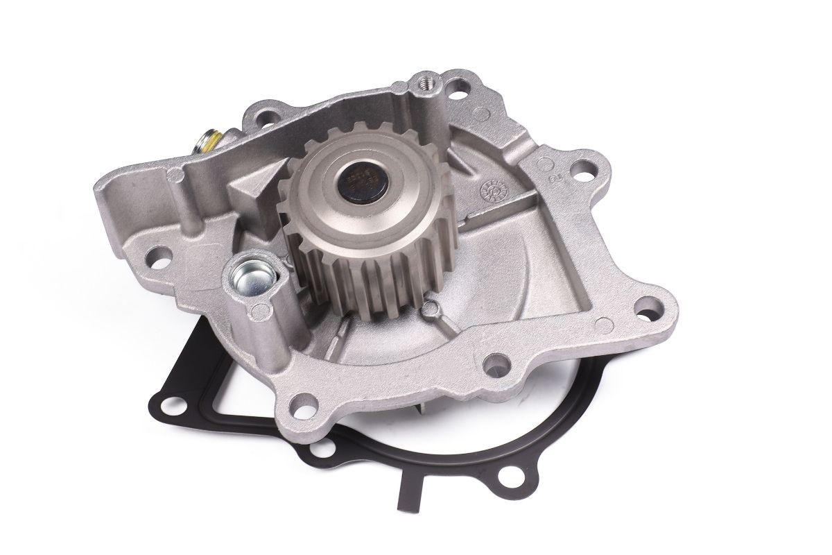 HEPU Water pump Article number: P807 cheaply
