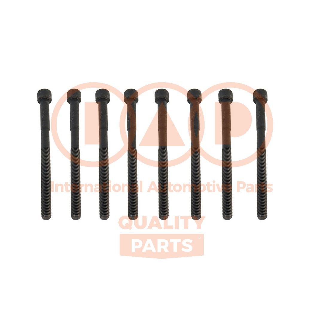 IAP QUALITY PARTS Klapikaanekruvikomplekt Artikli number: 119-07190 soodsalt