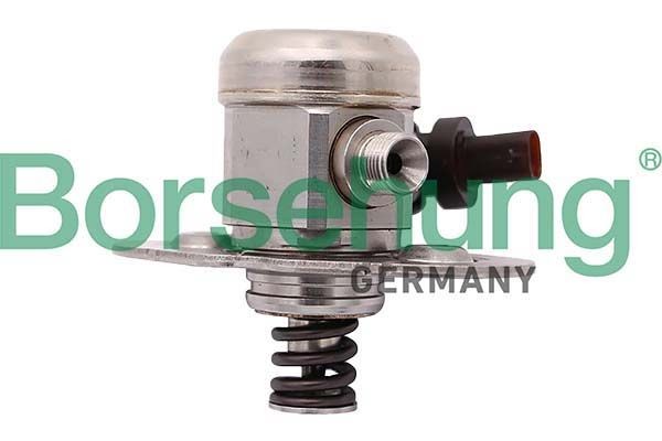 Borsehung High pressure fuel pump Article number: B12557 cheaply