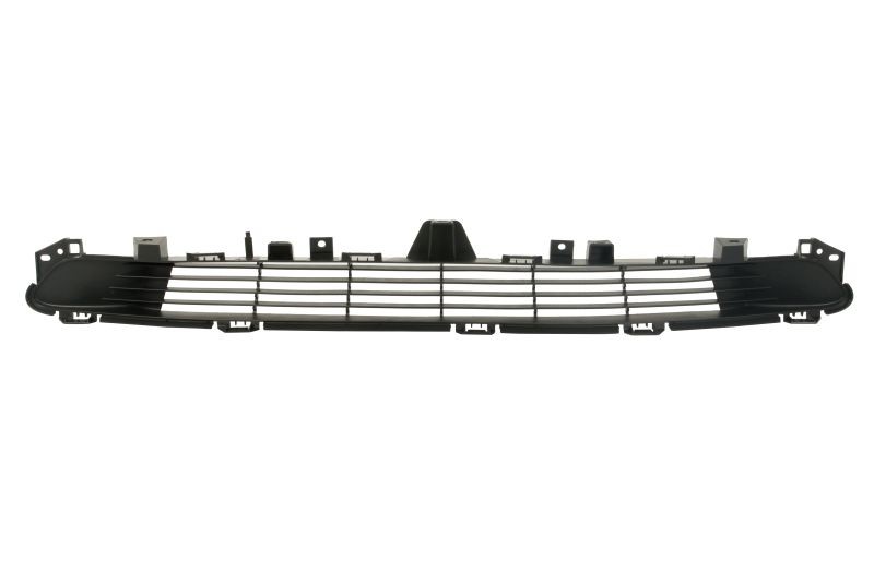 BLIC Radiator Grille Article number: 6509-01-7703990P cheaply