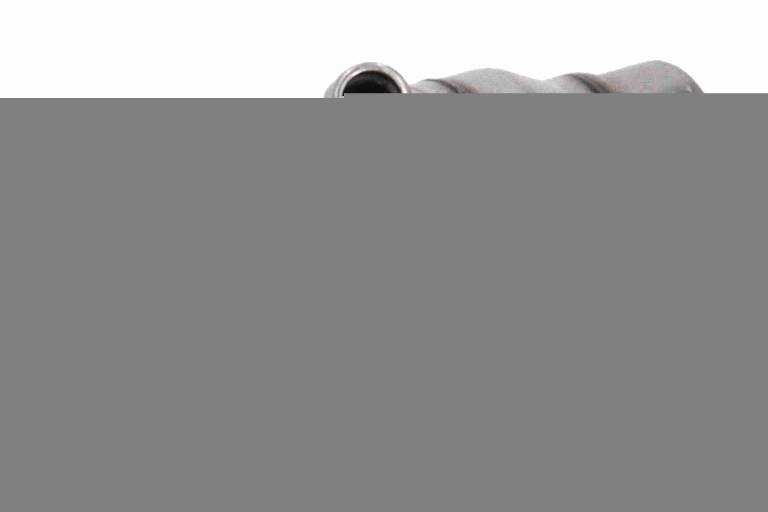 VEMO V46-68-0004 Dosing Module, urea injection MEGANE 1.5 Blue dCi 115 (B9A6) 116 PS Diesel