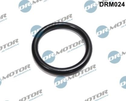 LIZARTE Gasket, coolant flange Article number: DRM024 cheaply