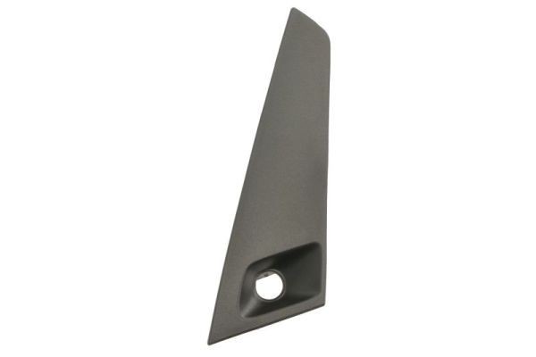 BLIC 6502-07-8173928P Bumper moulding IS 200t (ASE30) 245 PS Petrol