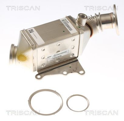 TRISCAN 8813 15077 EGR cooler 500 2.0 D Multijet 4x4 (334AXB22, 334AXD2B) 136 PS Diesel