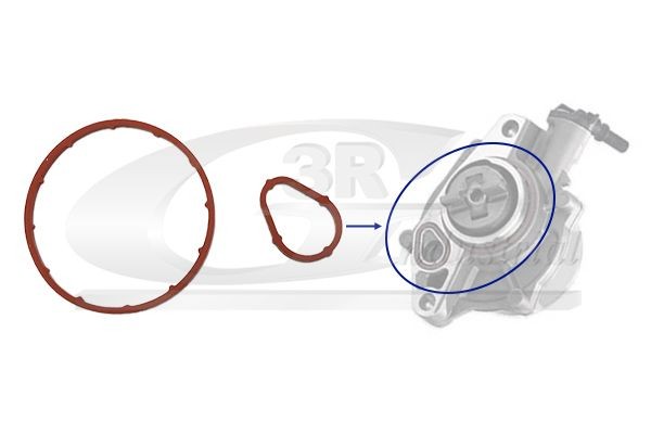 3RG Seal Set, vacuum pump Article number: 74208 cheaply
