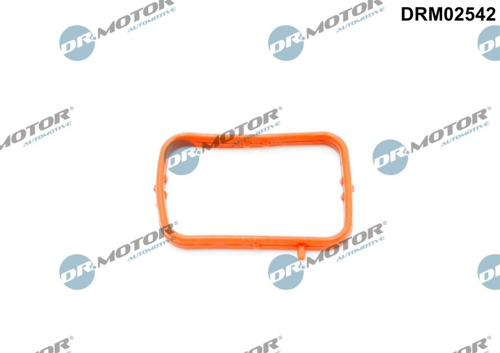 DR.MOTOR AUTOMOTIVE Thermostat housing gasket Article number: DRM02542 cheaply