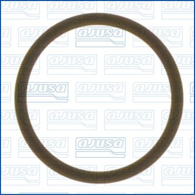 AJUSA Gasket, water pump Article number: 16080600 cheaply