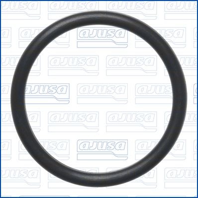 AJUSA Gasket, water pump Article number: 16547700 cheaply