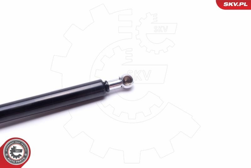ESEN SKV 52SKV241 Electrical motor, tailgate MODEL Y EV Performance All-wheel Drive 462 PS Electric