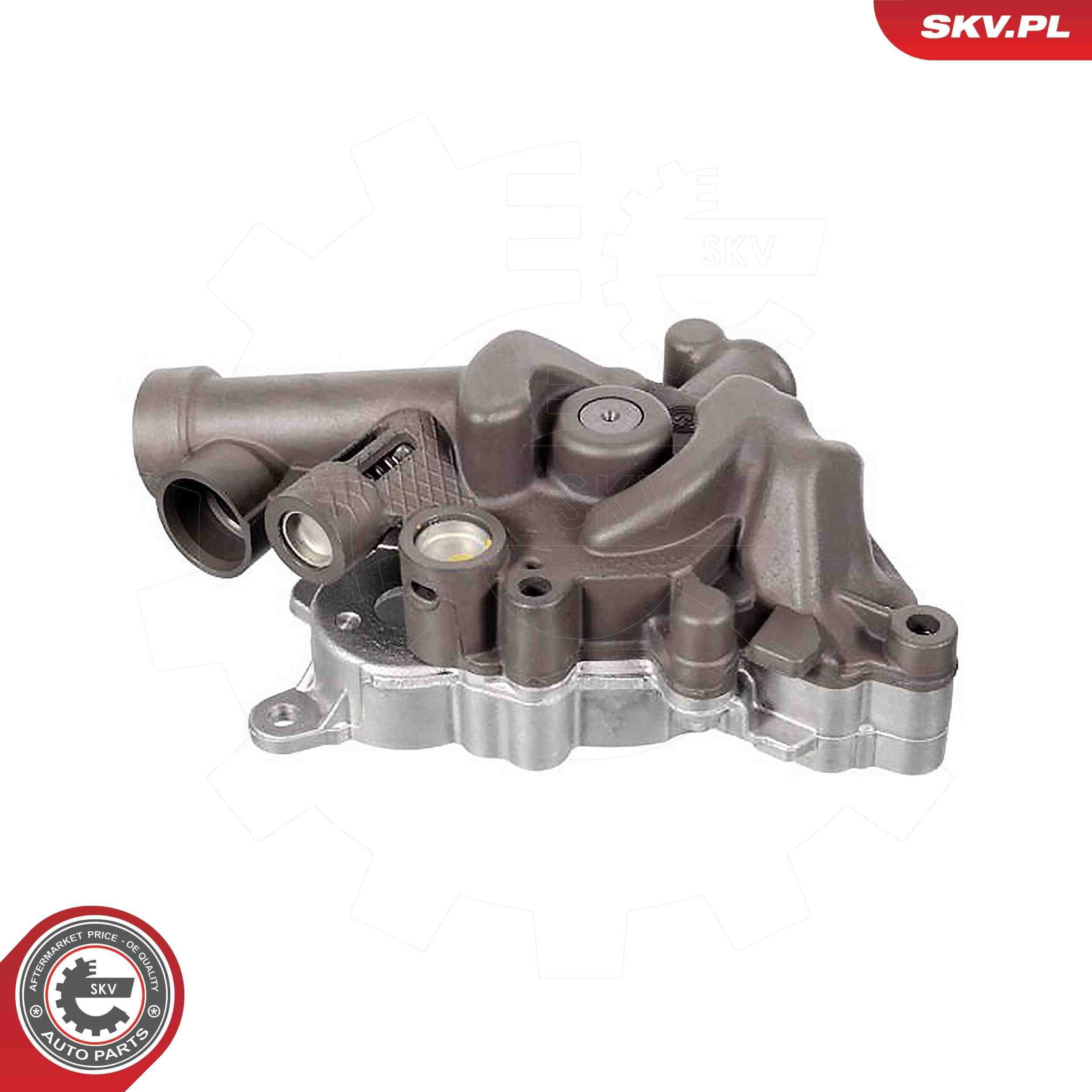 ESEN SKV Oil Pump Article number: 77SKV006 cheaply